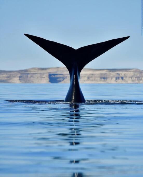 Pequena Casa De Troncos, Detras De Casa Principal No Trabajo Con Tarjeta De Credito Puerto Madryn Bagian luar foto