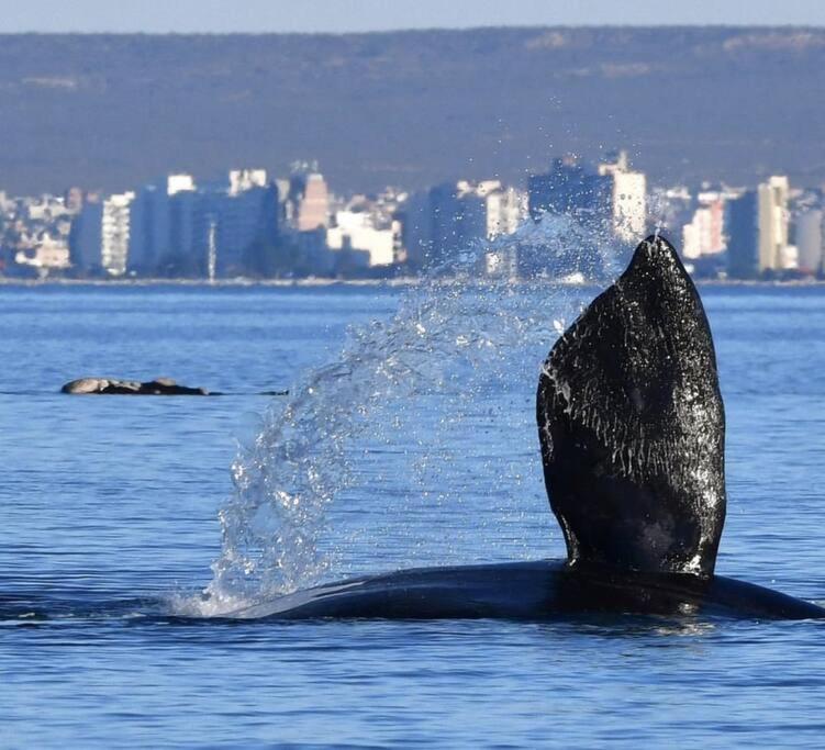 Pequena Casa De Troncos, Detras De Casa Principal No Trabajo Con Tarjeta De Credito Puerto Madryn Bagian luar foto